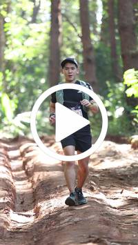 BIB:  <button type="button" onclick="openModal(26569460)" class="btn btn-primary btn-sm float-right" data-toggle="modal" data-target=".modal-high-quality">
                <i class="fa fa-download"></i> Download
                </button>